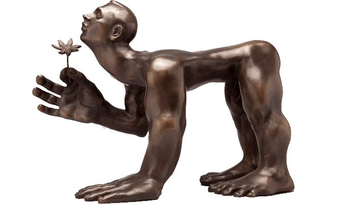 Imagem decorativa Imagem decorativa